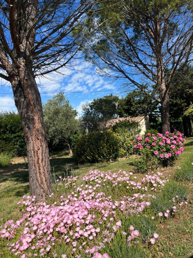 Mas De L'Estiou Διαμέρισμα Monteux Εξωτερικό φωτογραφία